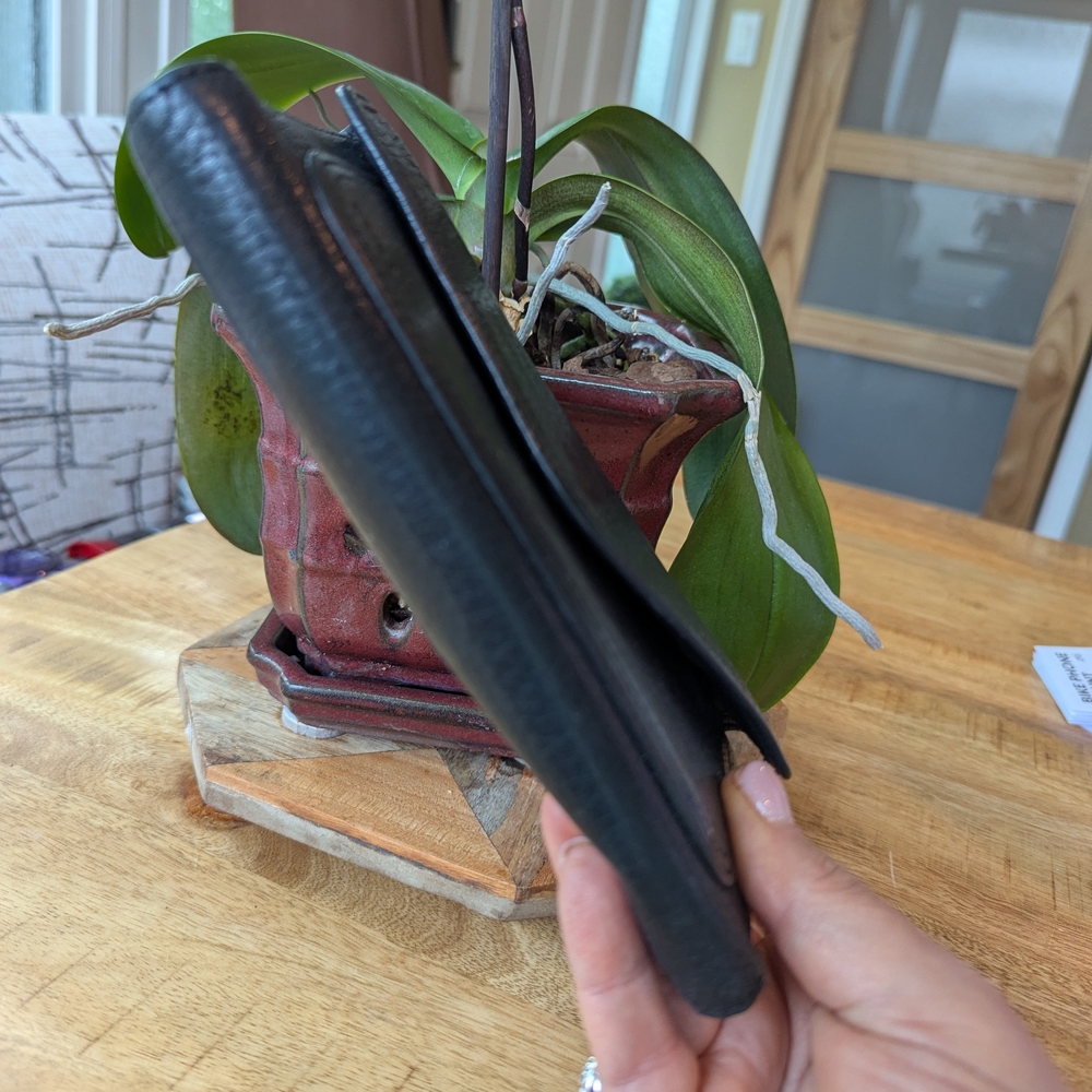 Textured Black Leather Vintage Wallet by Fossil - Picture 13 of 14